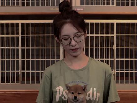纯种柴犬和串串柴的区别#柴犬宝宝 #柴犬 #知识分享 #萌宠