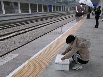 第一次坐软卧,没有想到软卧车相没有行李架,放行李,知道是这样子的话我就买硬卧了,硬卧更宽敞