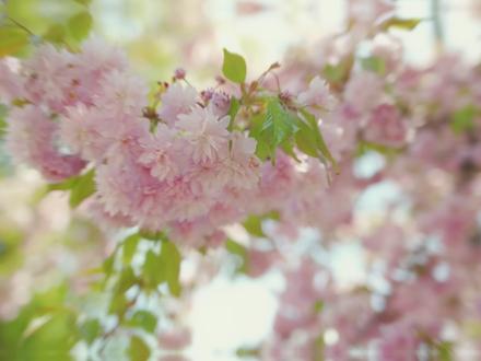 线性切割开头,水波纹转场0基础教程来啦#剪辑教程#剪映#线性切割卡点#零基础学剪辑#vlog剪辑