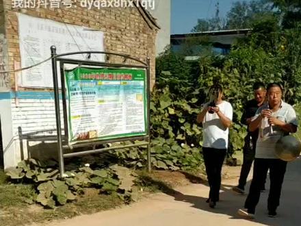 一位老人在世时,她的儿女们尽心尽孝,三周年为了表示对母亲的怀念之情,为母亲摆的花供