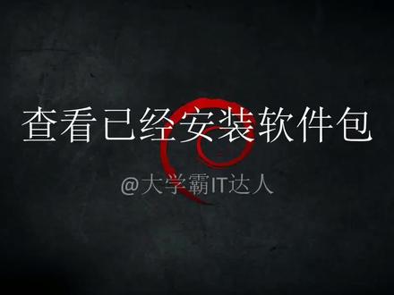【Debian系列管理软件包】查看已经安装软件包 #编程入门 #编程 #代码