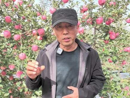 抑顶促萌以花换花培养枝吊优质高产稳产!#潘晓平粉丝团羊粪