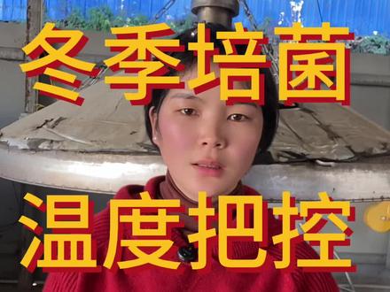 培菌温度把控细节