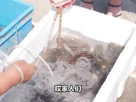 家人们,青岛崂山清欢民宿太绝!半夏海景房 412 含双早,有露天小院。共享厨房、崂山茶免费,免费报备进景区,速冲! #海鲜美食诱惑你 #海上生活666入口 #空徐海俏 #沉船 #旧货