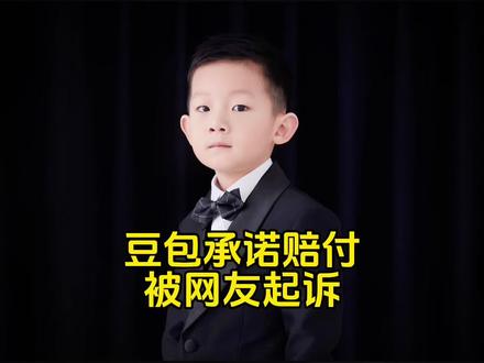 豆包误导网友退机票损失600元,还承诺愿意赔偿被起诉…… #豆包承诺赔付之后说我是ai无法转账 #豆包 #热点新闻事件 #法律大白