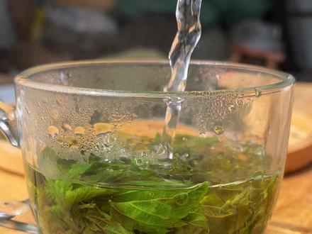 春天采一些桑叶嫩芽做成茶喝,清香回甘,对身体好好!#桑叶茶 #炒茶 #桑叶 #农村美食 #农村生活