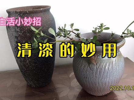 生活小妙招~清漆的妙用 土陶花瓶瞬间发光了!爱了爱了! #花瓶摆件 #花盆 #自制花盆 #器物之美