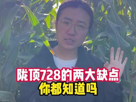 陇顶728的两大缺点 #玉米 #高产玉米种子 #玉米种植 #陇顶728