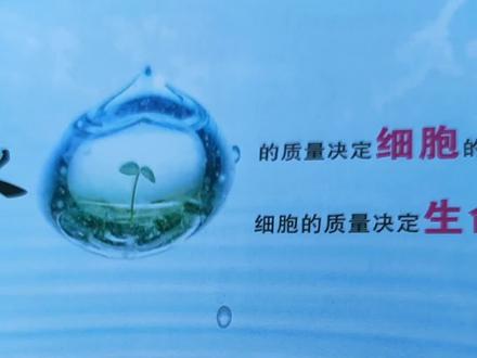 泰和污水处理厂工艺流程,及处理流程说明