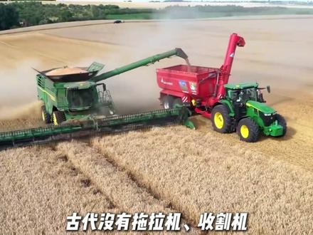 古代宰杀牛是犯法的,为什么梁山好汉去酒馆吃饭张口就点牛肉? #水浒传 #牛肉 #历史 #抖音精选