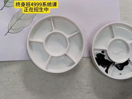 专业调色盘,小水瓶胶瓶,海绵擦,链接下单吧#工笔国画教学#零基础学工笔国画#工笔花鸟#工笔国画直播#工笔画入门