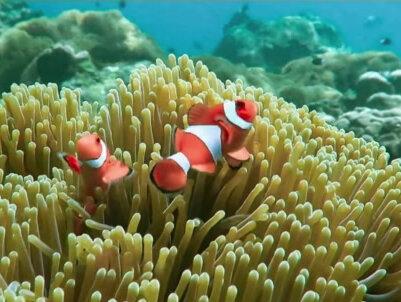 今日海王星离开双鱼座,进入到下一个轮回,双鱼集体开启“跃龙门”模式#宇宙奇观#天王现象#星座 #系统升级#海王星