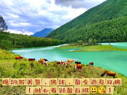 新疆喀纳斯美景、路线、最全游览攻略
#喀纳斯 #喀纳斯攻略