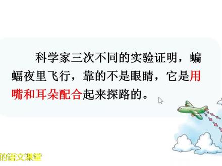 四上《蝙蝠和雷达》,人们从动物身上得到很多启示,还发明了什么
