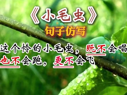 《小毛虫》期末常考#句子仿写 #二年级语文下册
