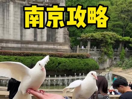 南京3天2夜逛吃保姆级攻略来啦#南京 #南京旅游攻略 #南京美食 #街边小吃