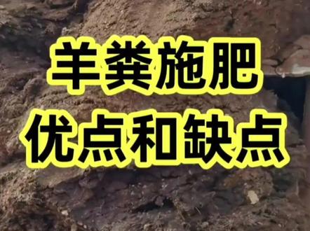 羊粪肥你知道有哪些优点?有哪些缺点吗?来认真看视频,快速了解羊粪的优缺点👍#羊粪有机肥#发酵羊粪#生物菌发酵剂#有机物料腐熟剂 #发酵堆肥