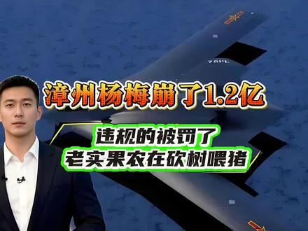 漳州 杨梅搜 崩了1.2亿:违规的被罚了,老实果农在砍树喂猪 漳州 杨梅搜 崩了1.2亿:违规的被罚了,老实果农在砍树喂猪 (来源:其他平台)