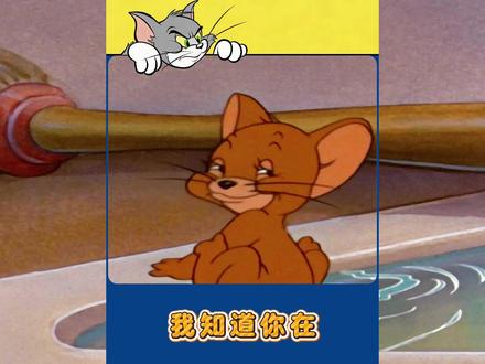 汤姆和杰瑞,我知道你在! #猫和老鼠#梗图 #童年动画#表情包 #青年创作者成长计划