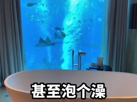 第一估计很难了。。。只是不想输得太难看~~拜托了
