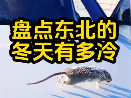 盘点东北的冬天有多冷#东北天气有多冷 #东北有多冷