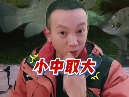 野钓小鱼总闹窝,大的钓不上来?这三步小中取大,直接照做轻松拿捏!
#野钓 #罗非鱼 #钓鱼技巧 #钓鱼的乐趣只有钓鱼人懂 #原来钓鱼才是抖音运动顶流
