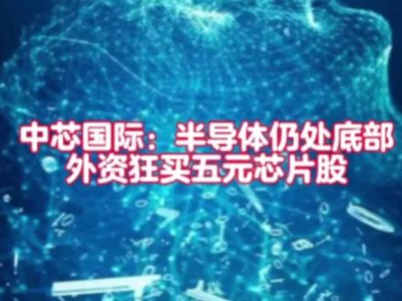 半导体仍处底部#牛市来了吗 #半导体