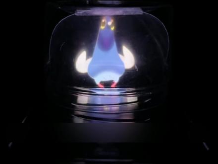 #手工 #一起做手工 跟我做最近超火的疯狂小鸽子@琦琦怪怪手工