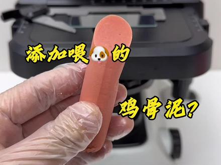 火腿肠你们还爱吃吗?#显微镜下的世界 #微观世界 #淀粉肠