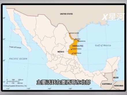 墨西哥火龙果事件#墨西哥 #安全教育