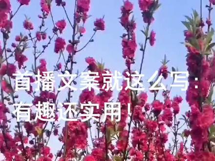 首播文案就这么写有趣还实用,如果准备开直播就这么说:干就完了,播不好还播不坏吗?#新人直播 #热门 #创作灵感