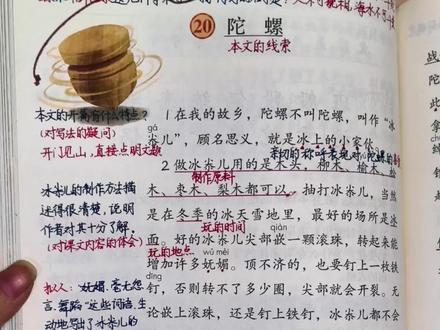 #四年级上册语文 四年级上册语文《陀螺》重点解析#知识点总结