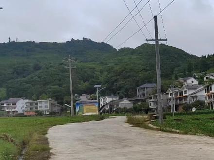 一定不要什么都跟豆包聊