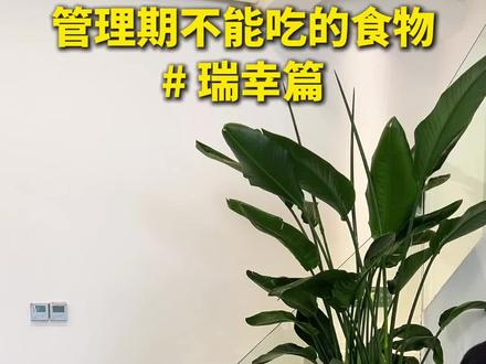 管理期不能吃的食物-瑞幸篇 #瑞幸 #身材管理 #仙女都在喝什么 #咖啡 #奶茶