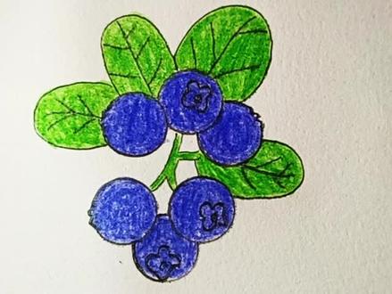 蓝莓的画法,蓝莓彩铅简笔画 #儿童简笔画 #简笔画教程 #简笔画 #手绘 #每日一画 #想画就画 #幼儿简笔画 #育儿简笔画 #画画 #儿童画