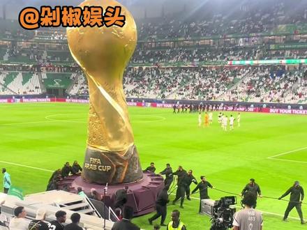 没有版权就等于全是版权 #世界杯 #足球 #央视 #球迷 #搞笑