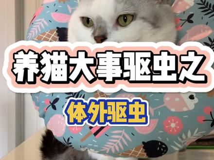 虽说是内外同驱,但是我觉得还是分开比较好#抖音萌宠出道计划 #科学养宠攻略