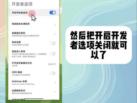 怎么关闭开发者模式 可以在设置里的更多设置中关闭