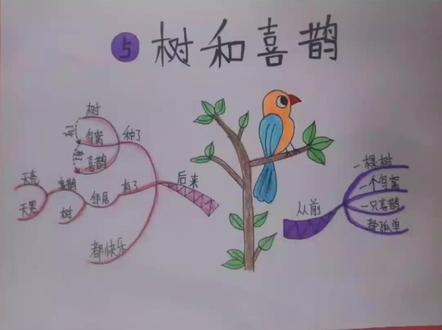 一年级下册语文《树和喜鹊》思维导图。简单好画,收藏起来让孩子画一画吧#小学语文 #关注我持续更新小学知识 #每天跟我涨知识 #每天学习一点点 #手绘思维导图 @抖音小助手