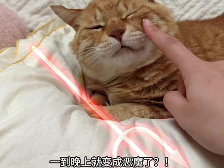 这个特效一点也不好玩!!假的假的!