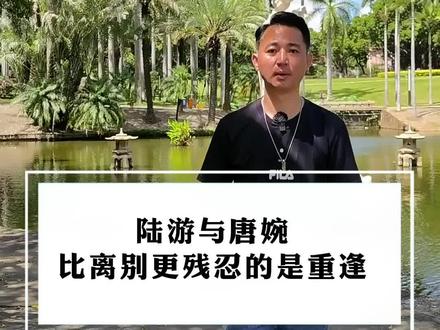 他们的感情让人唏嘘,爱情里面比离别更残忍的是重逢#星河知识计划 #渊博文化星 #全能导游 #关于爱情你遗憾吗 #人物故事