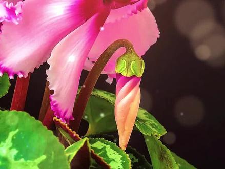 一个人在发财之前,一般都会有这四个征兆!#认知思维 #涨知识 #人生感悟 @抖音小助手