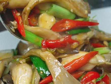 这才是蘑菇好吃的做法! 鲜辣蘑菇,好吃又简单,饭店家庭都可以!#蘑菇 #平菇 #炒蘑菇