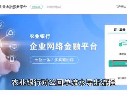 #银行 #银行流水 #财税 #农业银行#财务人