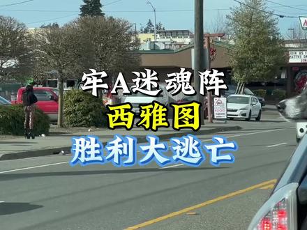 牢A回国直播总结#理性看世界