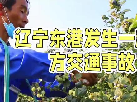 核载6人实载21人,蓝莓工人返乡悲剧
