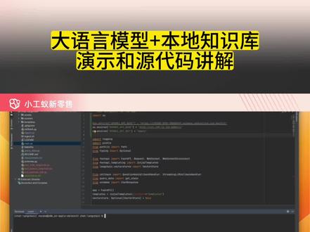 大语言模型 + 本地知识库演示和源代码讲解 #小工蚁 #langchain