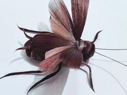 毛娘鬼点子生成中 #高温丝蟑螂 #假发 #毛娘 #毛娘精神状态