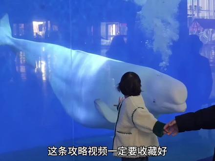 假期想要带孩子去欧乐堡海洋世界玩的看这篇攻略 #春节去哪玩 #欧乐堡海洋世界 #春节遛娃好去处 #新春吃喝玩乐节 #春节心动之旅