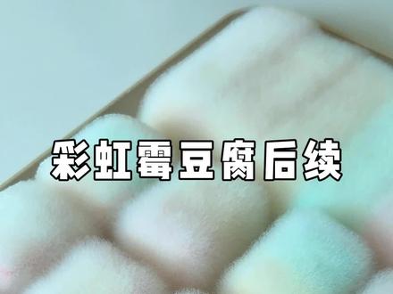 彩虹🌈霉豆腐后续! #彩虹霉豆腐 #自制霉豆腐 #霉豆腐 #玩一个很新的东西 #解压